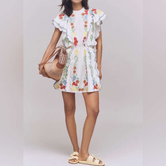 Farm Rio Embroidered Ruffle Mini Tunic Dress - Picture 4 of 15